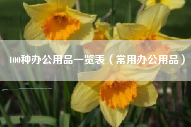 100种办公用品一览表（常用办公用品）