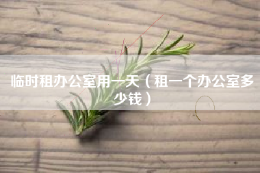 临时租办公室用一天（租一个办公室多少钱）