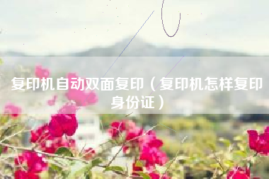 复印机自动双面复印（复印机怎样复印身份证）