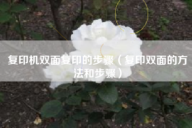 复印机双面复印的步骤（复印双面的方法和步骤）