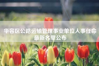 华容区公路运输管理事业单位人事任命最新名单公布