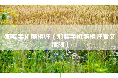 那款手机照相好（那款手机照相好看又清晰）