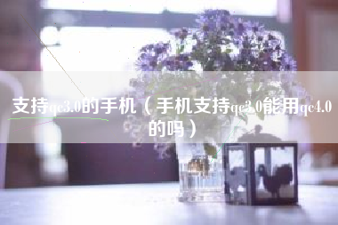 支持qc3.0的手机（手机支持qc3.0能用qc4.0的吗）