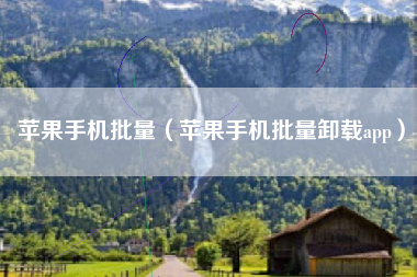 苹果手机批量（苹果手机批量卸载app）