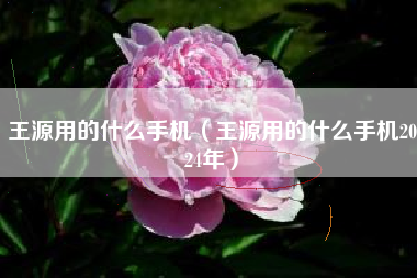 王源用的什么手机（王源用的什么手机2024年）