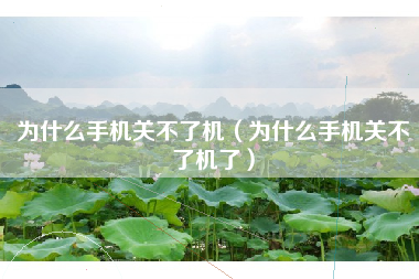 为什么手机关不了机（为什么手机关不了机了）
