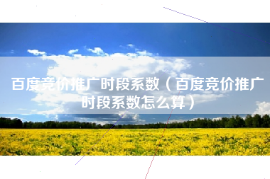 百度竞价推广时段系数（百度竞价推广时段系数怎么算）