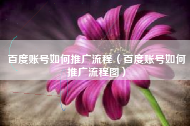 百度账号如何推广流程（百度账号如何推广流程图）