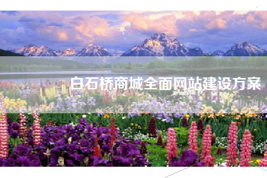 🌟白石桥商城全面网站建设方案🌟