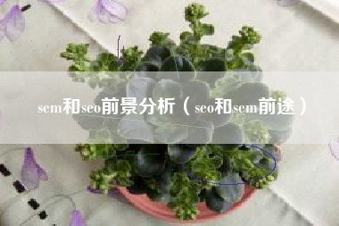 sem和seo前景分析（seo和sem前途）