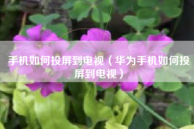 手机如何投屏到电视（华为手机如何投屏到电视）