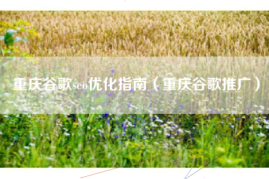 重庆谷歌seo优化指南（重庆谷歌推广）