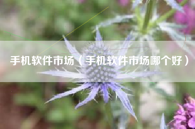 手机软件市场（手机软件市场哪个好）