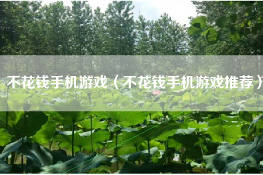 不花钱手机游戏（不花钱手机游戏推荐）