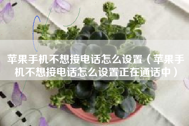 苹果手机不想接电话怎么设置（苹果手机不想接电话怎么设置正在通话中）