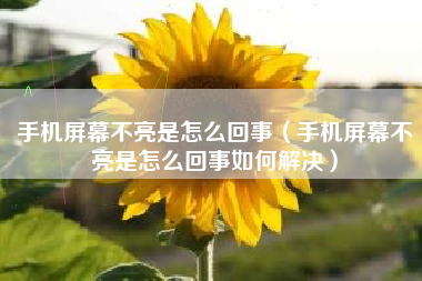 手机屏幕不亮是怎么回事（手机屏幕不亮是怎么回事如何解决）