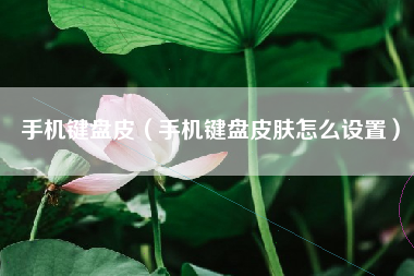 手机键盘皮（手机键盘皮肤怎么设置）