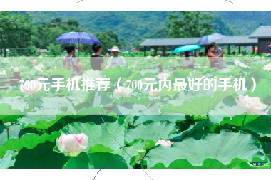 700元手机推荐（700元内最好的手机）