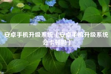 安卓手机升级系统（安卓手机升级系统会卡顿吗）