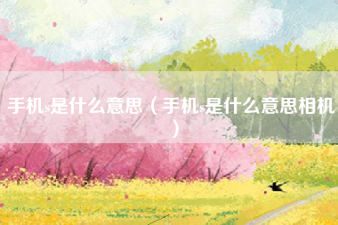 手机s是什么意思（手机s是什么意思相机）