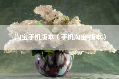 淘宝手机版本（手机淘宝 版本）