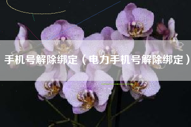 手机号解除绑定（电力手机号解除绑定）