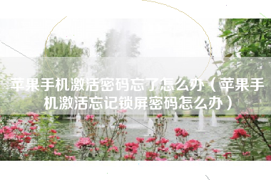 苹果手机激活密码忘了怎么办（苹果手机激活忘记锁屏密码怎么办）