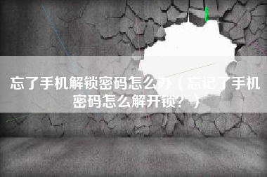 忘了手机解锁密码怎么办（忘记了手机密码怎么解开锁？）