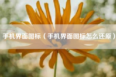 手机界面图标（手机界面图标怎么还原）