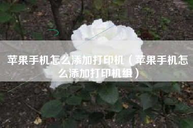 苹果手机怎么添加打印机（苹果手机怎么添加打印机组）