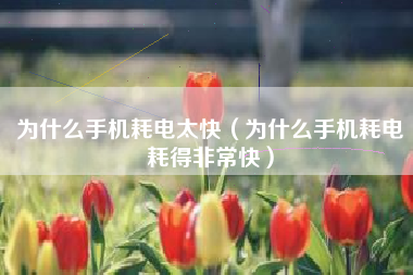 为什么手机耗电太快（为什么手机耗电耗得非常快）