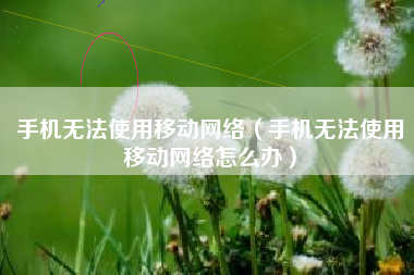 手机无法使用移动网络（手机无法使用移动网络怎么办）