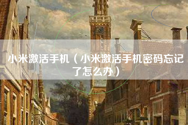 小米激活手机（小米激活手机密码忘记了怎么办）