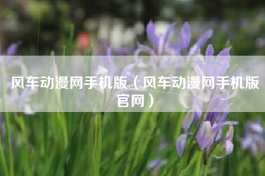 风车动漫网手机版（风车动漫网手机版官网）