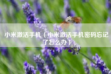 小米激活手机（小米激活手机密码忘记了怎么办）