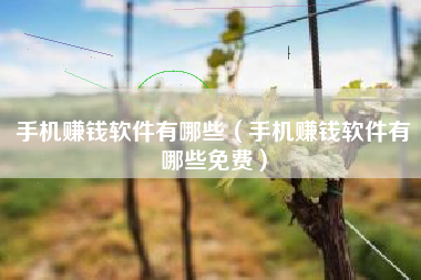 手机赚钱软件有哪些（手机赚钱软件有哪些免费）