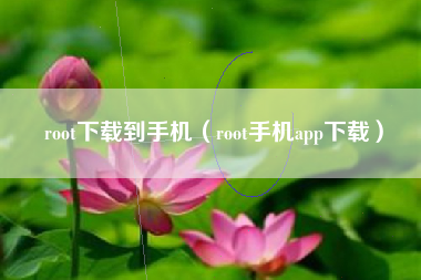 root下载到手机（root手机app下载）