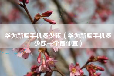华为新款手机多少钱（华为新款手机多少钱一个最便宜）