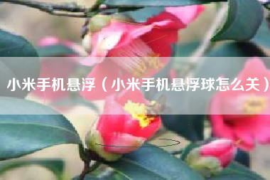 小米手机悬浮（小米手机悬浮球怎么关）