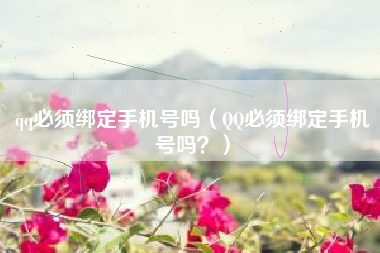 qq必须绑定手机号吗（QQ必须绑定手机号吗？）