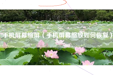 手机屏幕缩屏（手机屏幕缩放如何恢复）