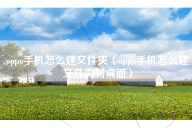 oppo手机怎么建文件夹（oppo手机怎么建文件夹到桌面）