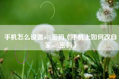 手机怎么设置wifi密码（手机上如何改自家wifi密码）
