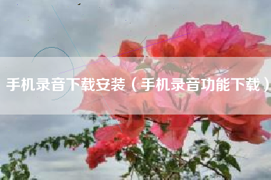 手机录音下载安装（手机录音功能下载）