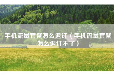 手机流量套餐怎么退订（手机流量套餐怎么退订不了）