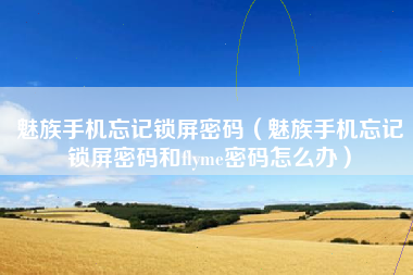 魅族手机忘记锁屏密码（魅族手机忘记锁屏密码和flyme密码怎么办）