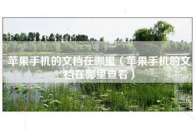 苹果手机的文档在哪里（苹果手机的文档在哪里查看）
