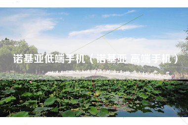 诺基亚低端手机（诺基亚 高端手机）