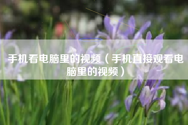 手机看电脑里的视频（手机直接观看电脑里的视频）