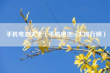 手机电池大全（手机电池10大排行榜）